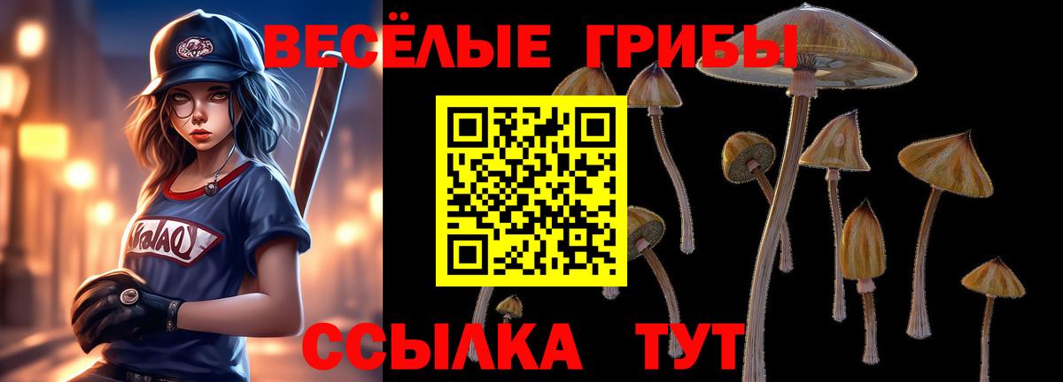 Галлюциногенные грибы Cubensis Кингисепп